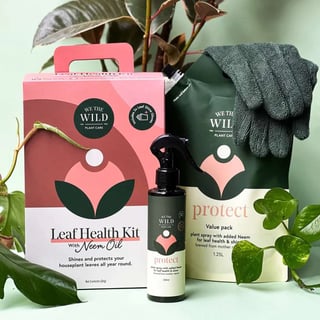 Leaf Health Kit