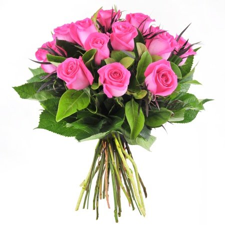 Hot Pink Roses | Send Flowers | Delivery | Amazing Flowers, Secure ...